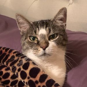 Meet your Posher, Stephanie